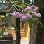 Luxurious Place Belgravia