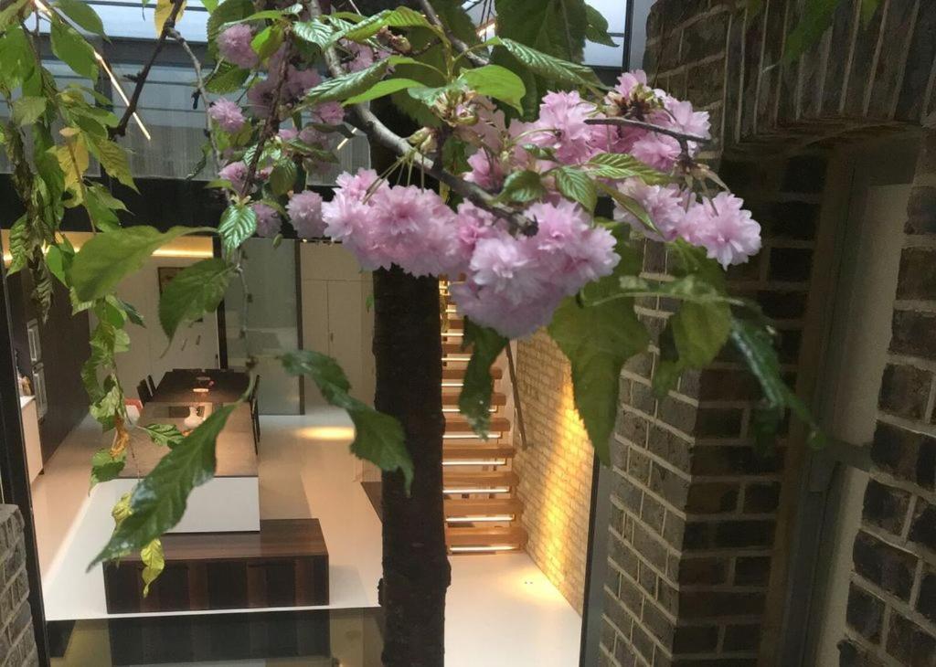 Luxurious Place Belgravia *